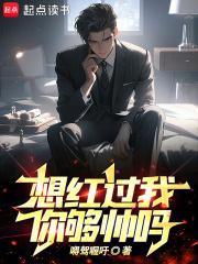 想红过我，你够帅吗封面