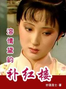 溶情黛韵补红楼封面