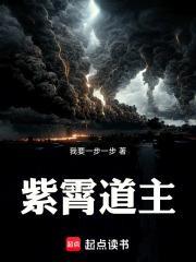 紫霄道主封面