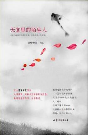 天堂裏的陌生人封面