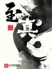 至真封面