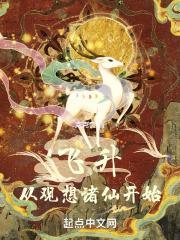 飞升，从观想诸仙开始封面