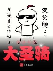美漫世界大圣骑封面