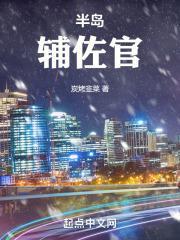 半岛辅佐官封面