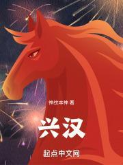 兴汉封面