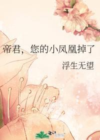 帝君，您的小凤凰掉了封面