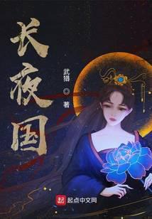 长夜国封面