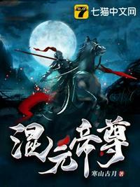混元帝尊封面
