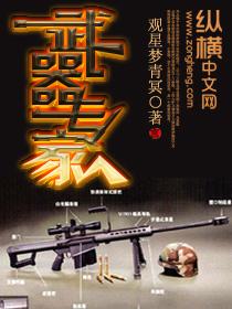 李刚武器专家封面