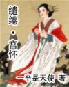 宫怀缱绻封面