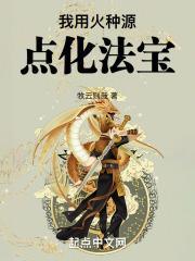 我用火种源点化法宝封面