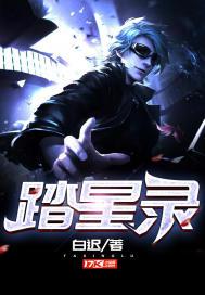 踏星录封面