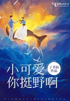 小可爱你挺野啊封面