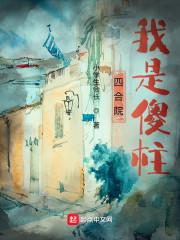 四合院我是傻柱封面