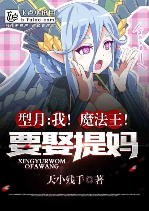 型月：我！魔法王！要娶提妈！封面