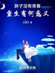 胖子没有青春，重生有何意义封面