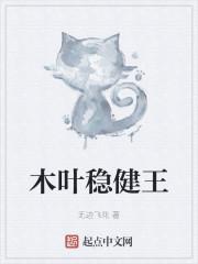 木叶稳健王封面