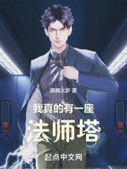 唯我独法：我在都市修奥法封面