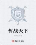 哲战天下封面