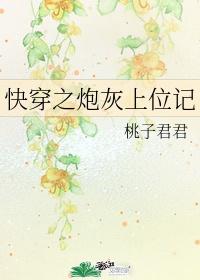白莲炮灰上位记封面