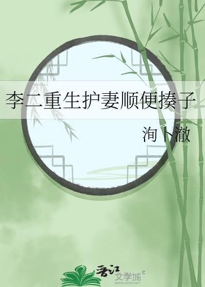 李二重生护妻顺便揍子封面