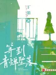 等到青蝉坠落封面