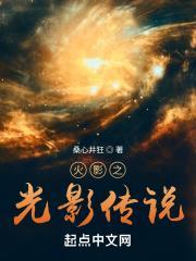 火影之光影传说封面