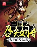 三国之召唤女将封面