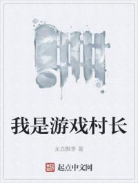 我是游戏村长封面