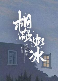 相敬如冰封面