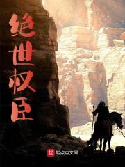 绝世权臣封面