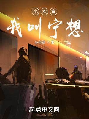 小欢喜：我叫宁想封面