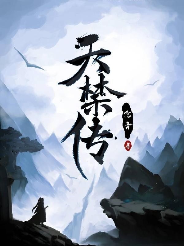 天禁传封面