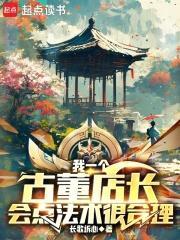 我一个古董店长，会点法术很合理封面