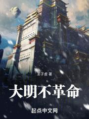 大明不革命封面