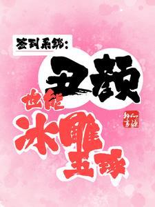 签到系统：丑颜也能冰雕玉琢封面