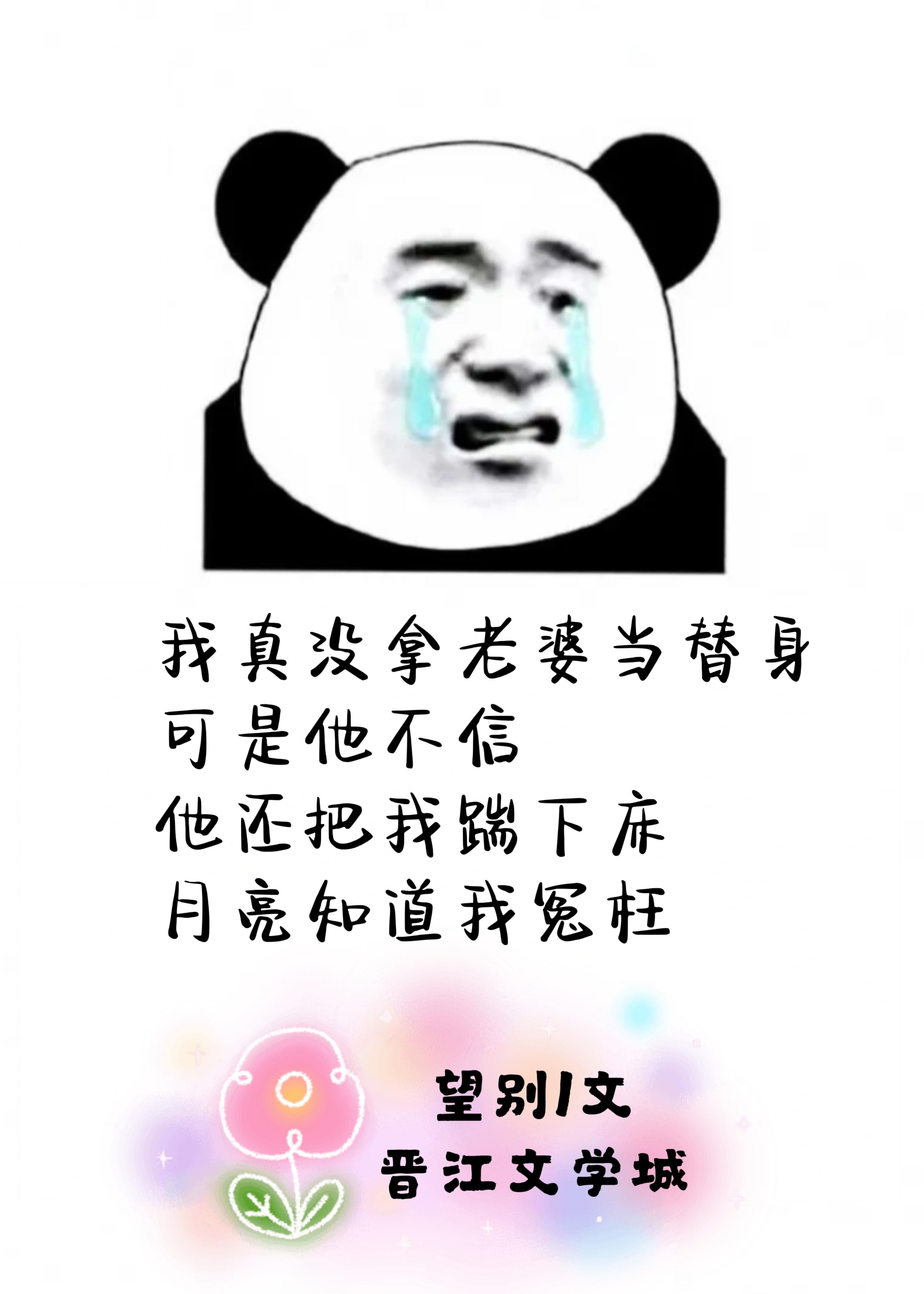全世界都以为我找了替身封面