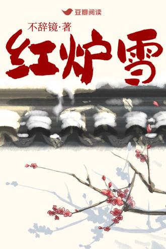 红炉雪封面