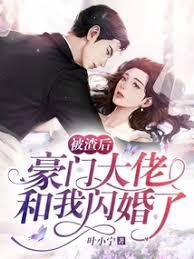 被渣后，豪门大佬和我闪婚了封面