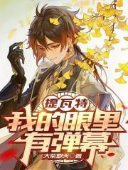 提瓦特：我的眼里有弹幕封面