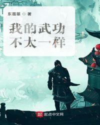 我的武功不太一样封面
