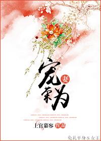 宠妻为荣封面