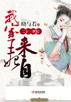 我家王妃来自二十一世纪封面