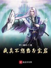 洪荒之我是分宝岩封面