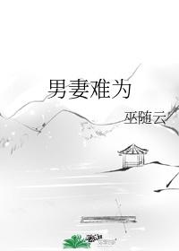 男妻难为封面