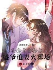 追错白月光后盛爷追妻火葬场封面