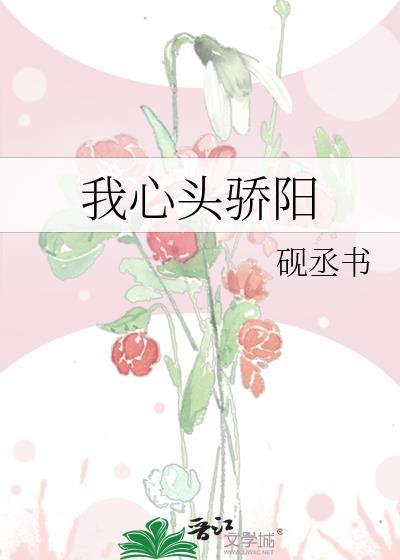 我心头骄阳封面