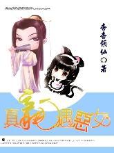 真龙遇恶女封面