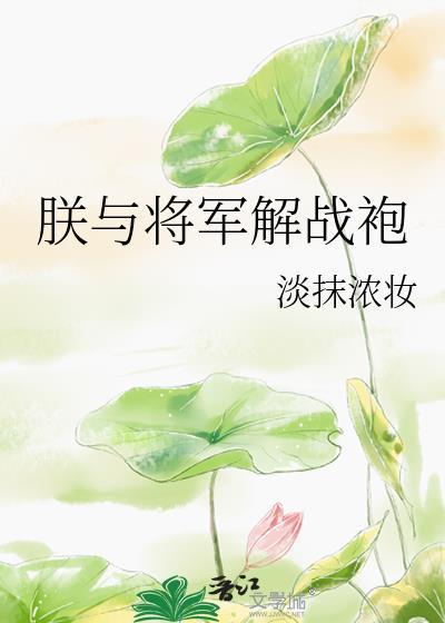 朕与将军解战袍封面