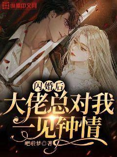 闪婚后大佬总对我一见钟情封面
